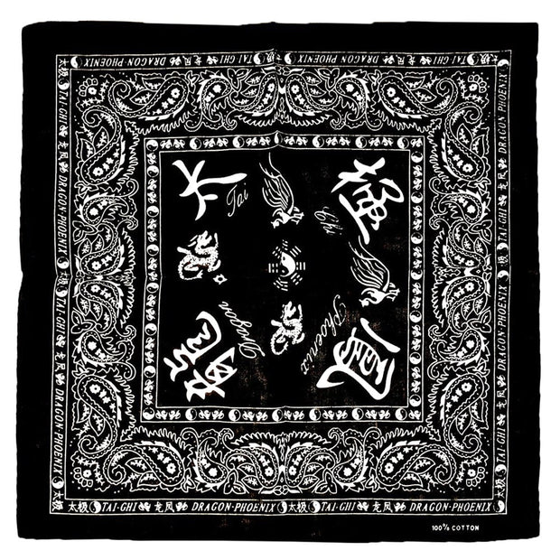 Tai Chi with Yin Yang & Paisley Bandana